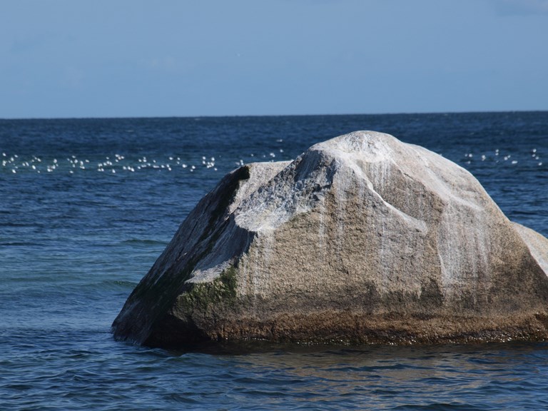 Puggaard Stenen i vandet