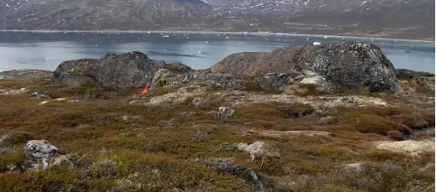 Fedtsten findes flere steder i Grønland