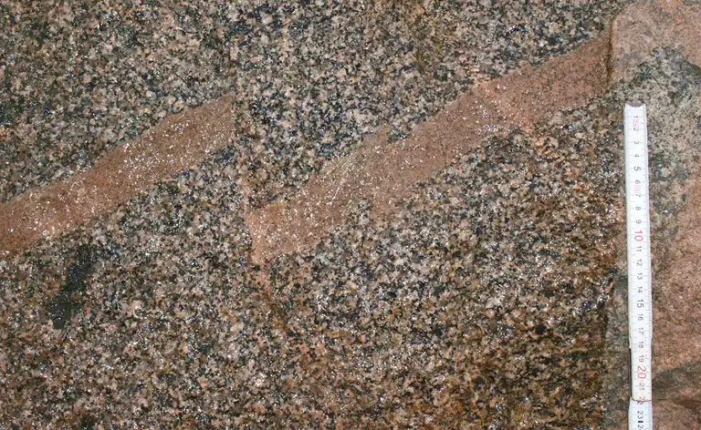 Galgebakkestenen består mest af mellemkornet til grovkornet granit