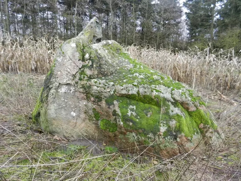 Kæmpesten Oreby har en lille ekstra sten ovenpå som ligner en amagerhylde