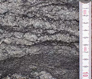 Stenøs kæmpesten består af gnejs med mørke striber