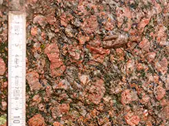 Granit med store røde feldspatkorn omgivet af mindre mineralkorn. Gubstenen i Kalundborg Kommune.