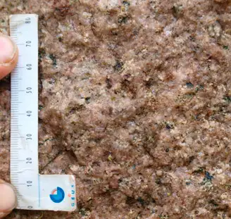 Spejderstenen består af mellemkornet homogen granit
