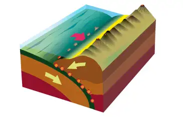 Illustrationen viser subduktionszoner, som er hvor en plade presses ned under en anden plade. Her kan voldsomme jordsk&aelig;lv forekomme i op til 700 km dybde.