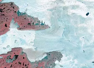 Satellitbillede af Sermeq Kujalleq og Kangia fra 7. juli 2001. Data er fra Landsat 7 satellitten, fra h&oslash;jde af 705 kilometer. Farverne er kunstige, omr&aring;der med vegetation er brun- eller r&oslash;dfarvede. Klippegrund vises med gr&aring; nuance. Gletscherfronten ligger i den position, hvor den l&aring; stabilt fra 1950&rsquo;erne og frem til opbruddet i 2002.