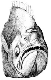 Tegning af en hellefisk